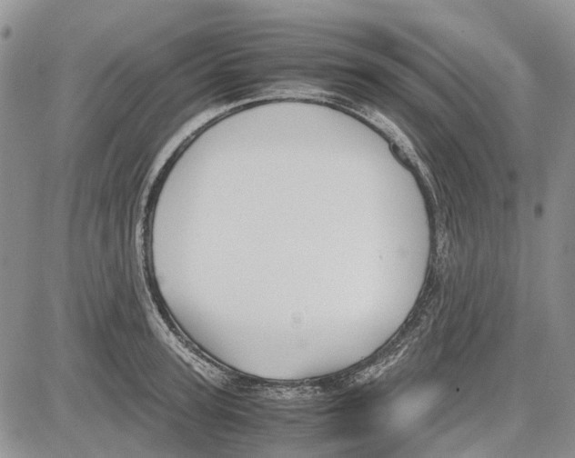 X0000081570947200702051211