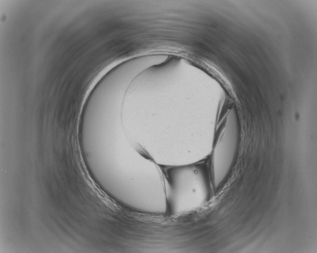 X0000081570948200702051211