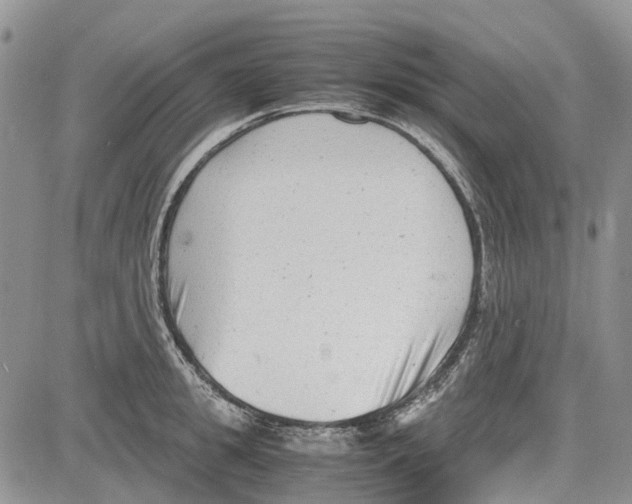 X0000081570949200702051211