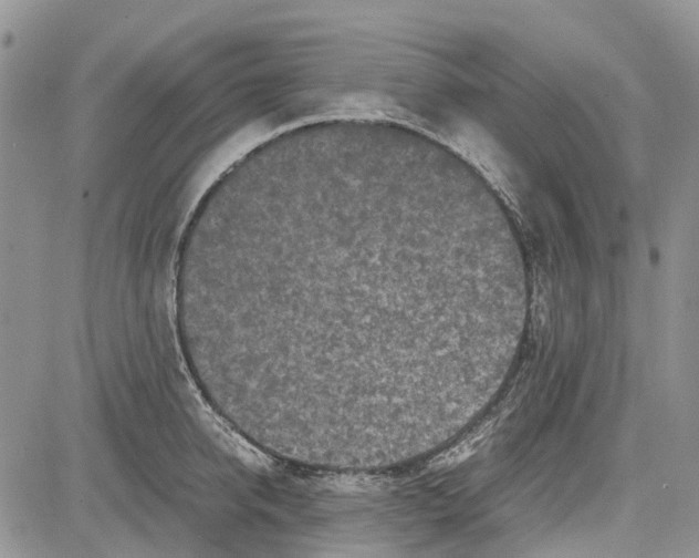 X0000081570950200702051211