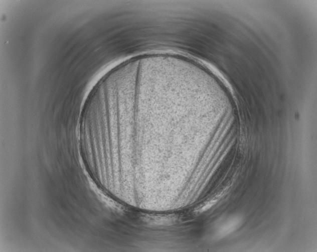 X0000081570951200702051211