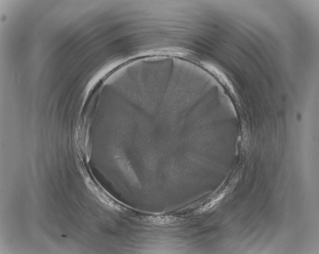 X0000081570952200702051211