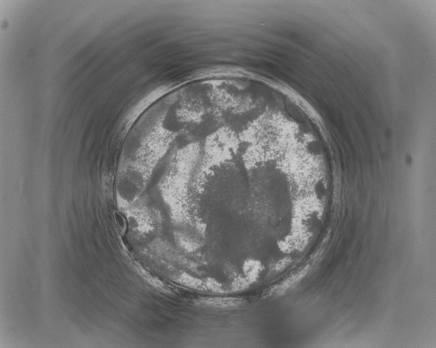 X0000081570953200702051211