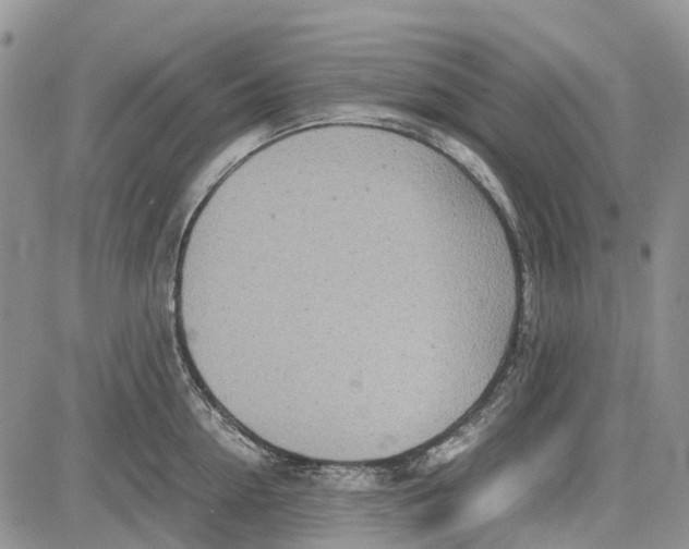 X0000081570954200702051211