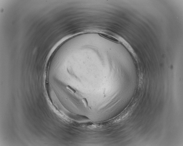 X0000081570955200702051211