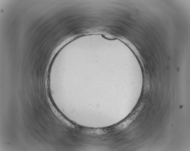 X0000081570957200702051211