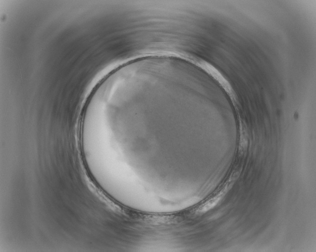 X0000081570958200702051211