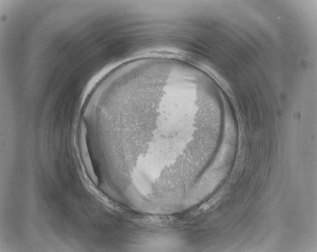 X0000081570960200702051211