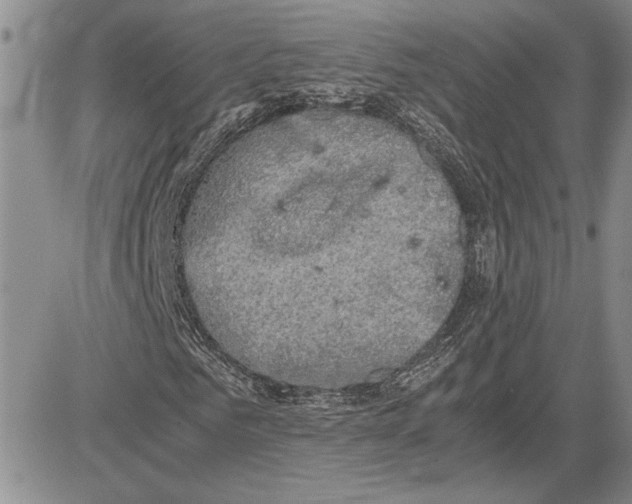 X0000081570961200702051210