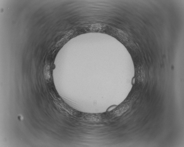 X0000081570962200702051210