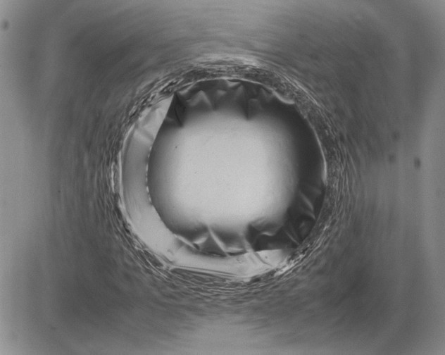 X0000081570965200702051210