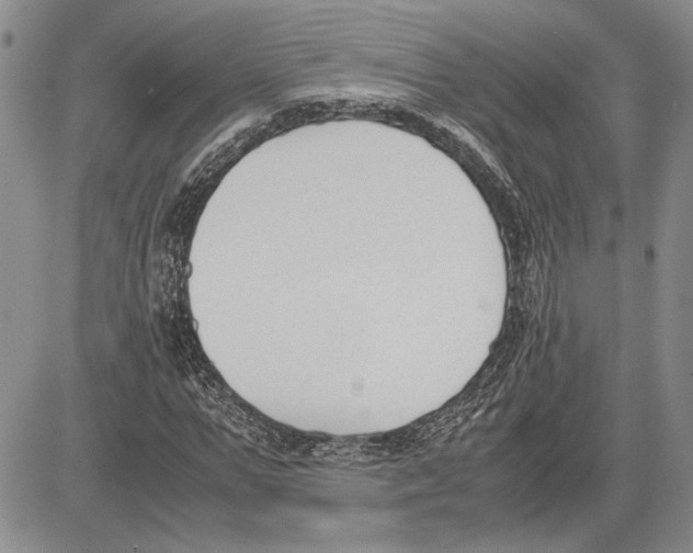 X0000081570967200702051210