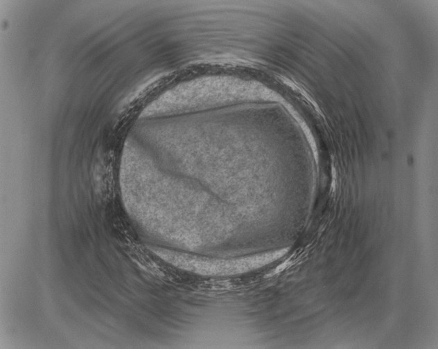 X0000081570968200702051210