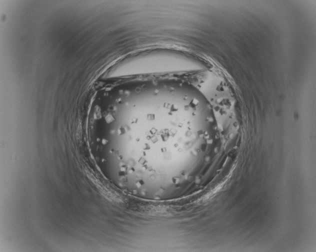 X0000081570969200702051210