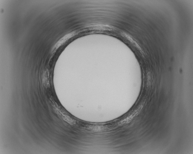 X0000081570970200702051210