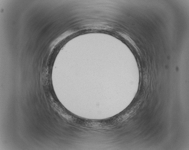 X0000081570971200702051210