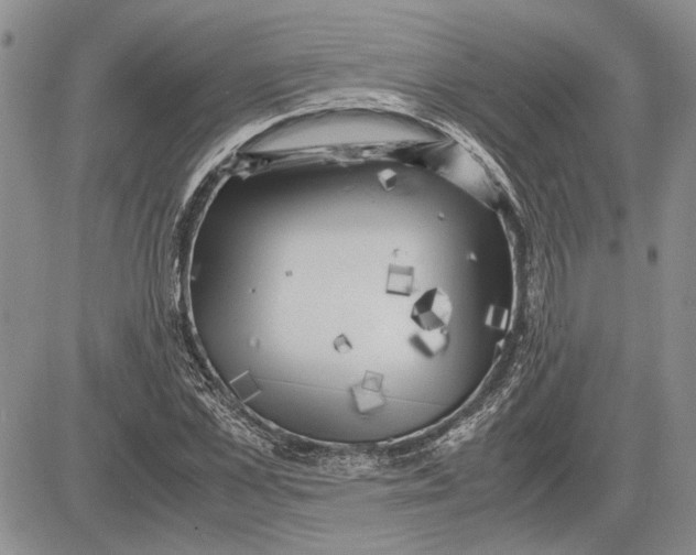 X0000081570973200702051210