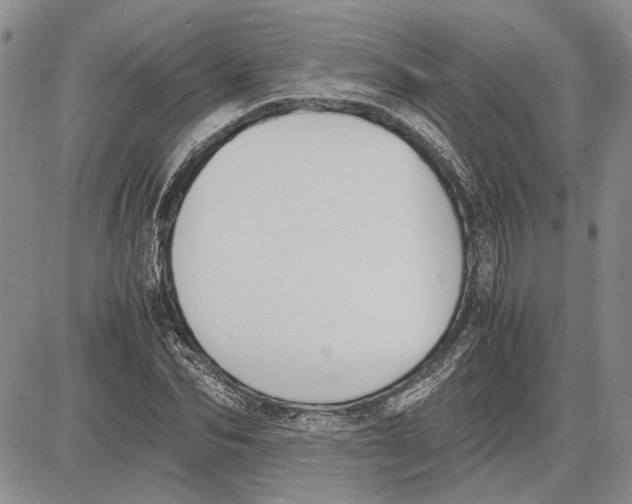 X0000081570974200702051210