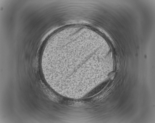 X0000081570975200702051210