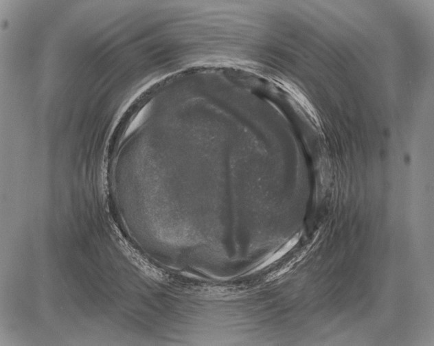 X0000081570976200702051210