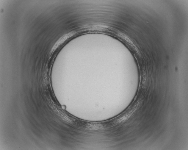 X0000081570978200702051210