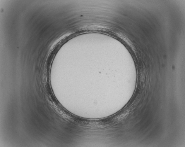 X0000081570979200702051210