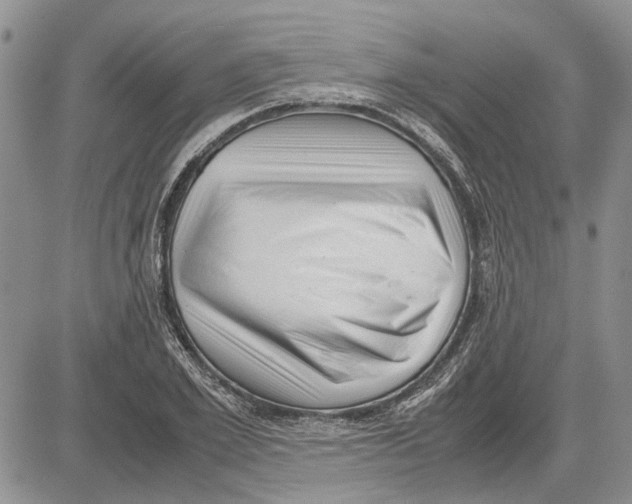 X0000081570981200702051210