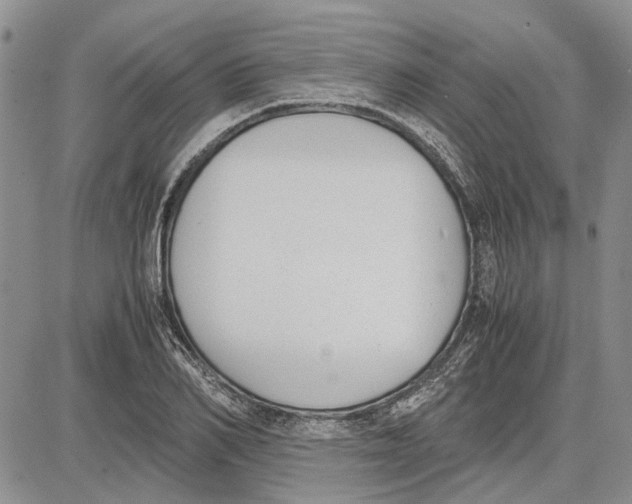 X0000081570982200702051210