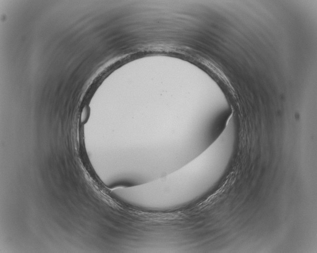 X0000081570984200702051210