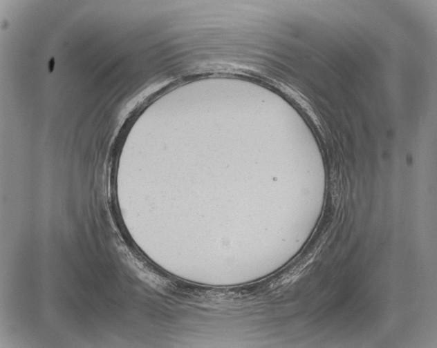 X0000081570987200702051210