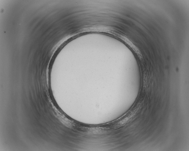 X0000081570988200702051210