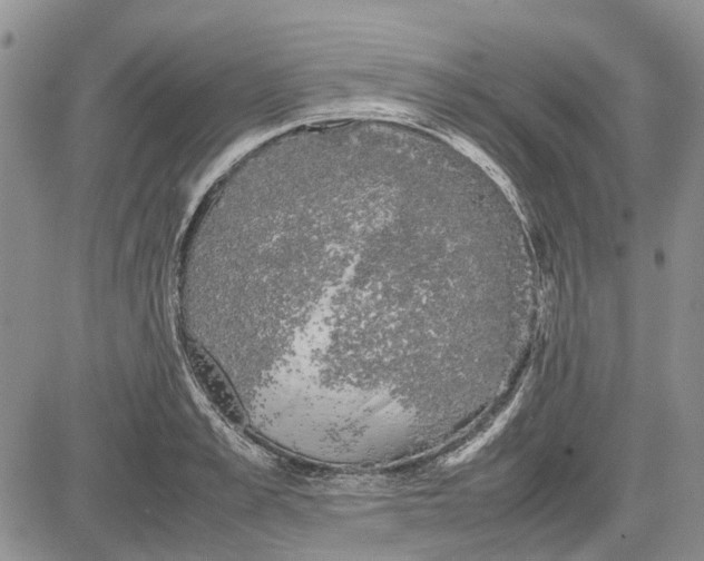 X0000081570989200702051210