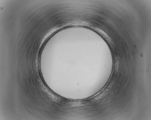 X0000081570990200702051210