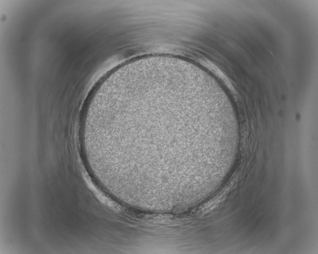 X0000081570991200702051210