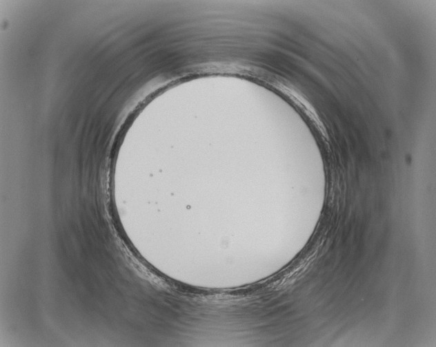 X0000081570992200702051210