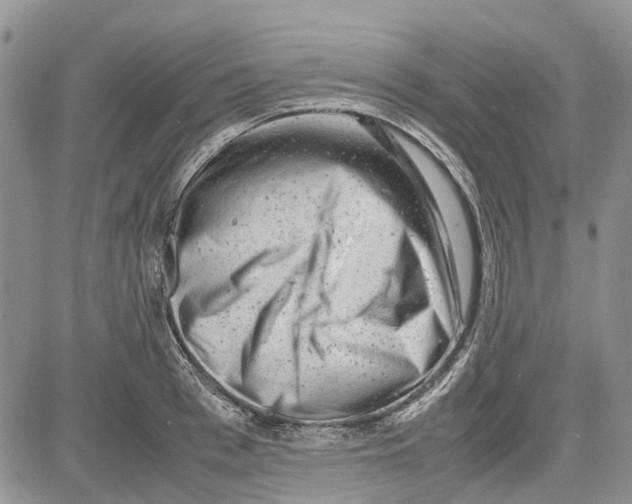 X0000081570993200702051210