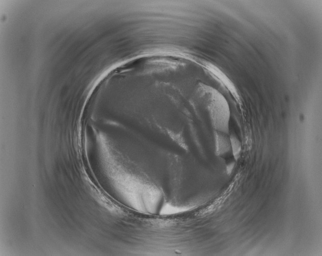 X0000081570996200702051210