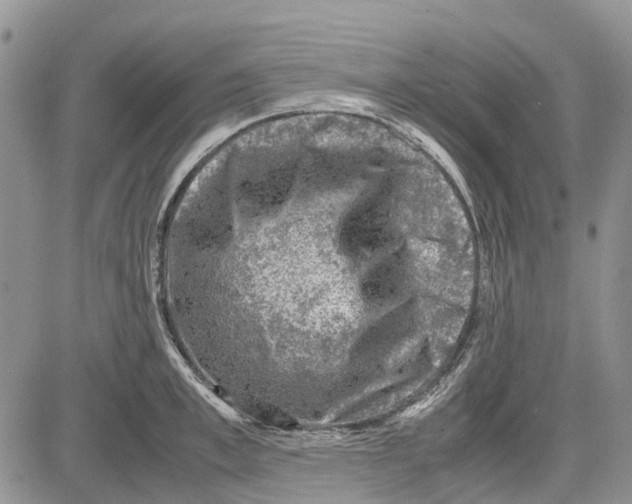 X0000081570997200702051210