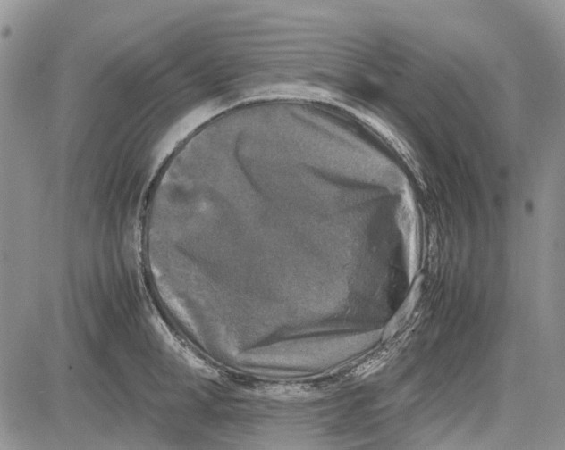 X0000081570998200702051209