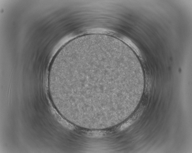 X0000081571000200702051209