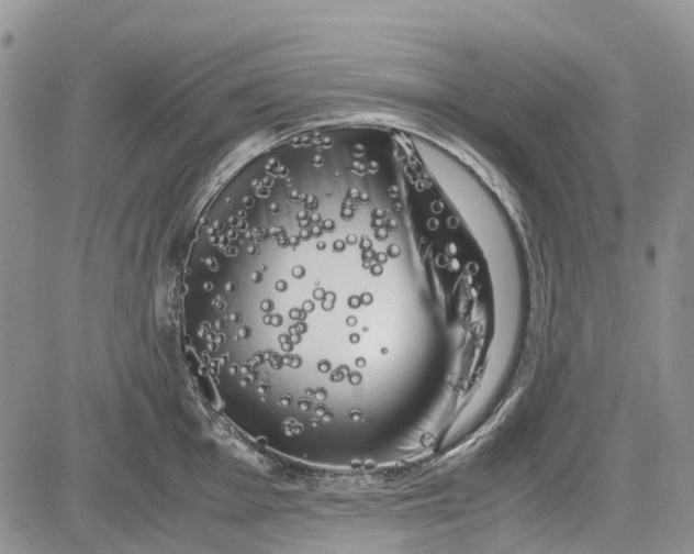 X0000081571001200702051209