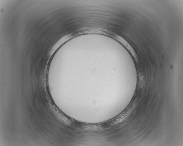 X0000081571002200702051209