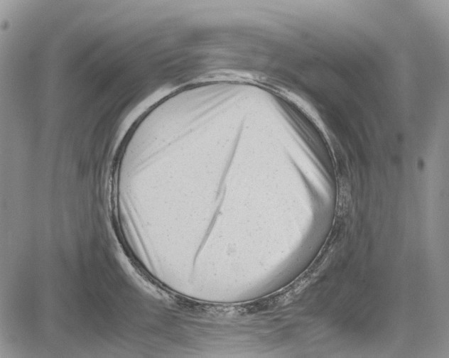 X0000081571003200702051209