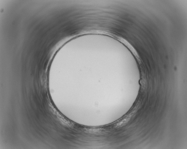 X0000081571004200702051209