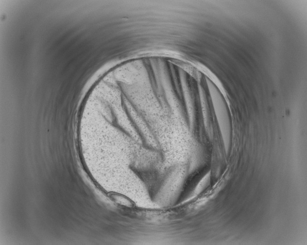 X0000081571005200702051209