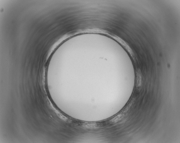 X0000081571006200702051209