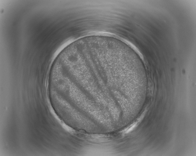 X0000081571007200702051209