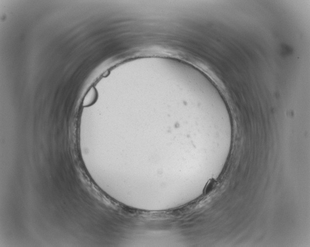 X0000081571008200702051209