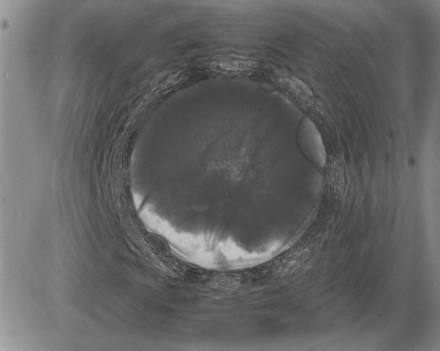 X0000081571009200702051209