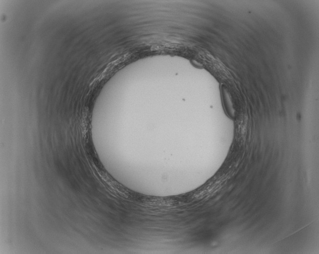 X0000081571012200702051209